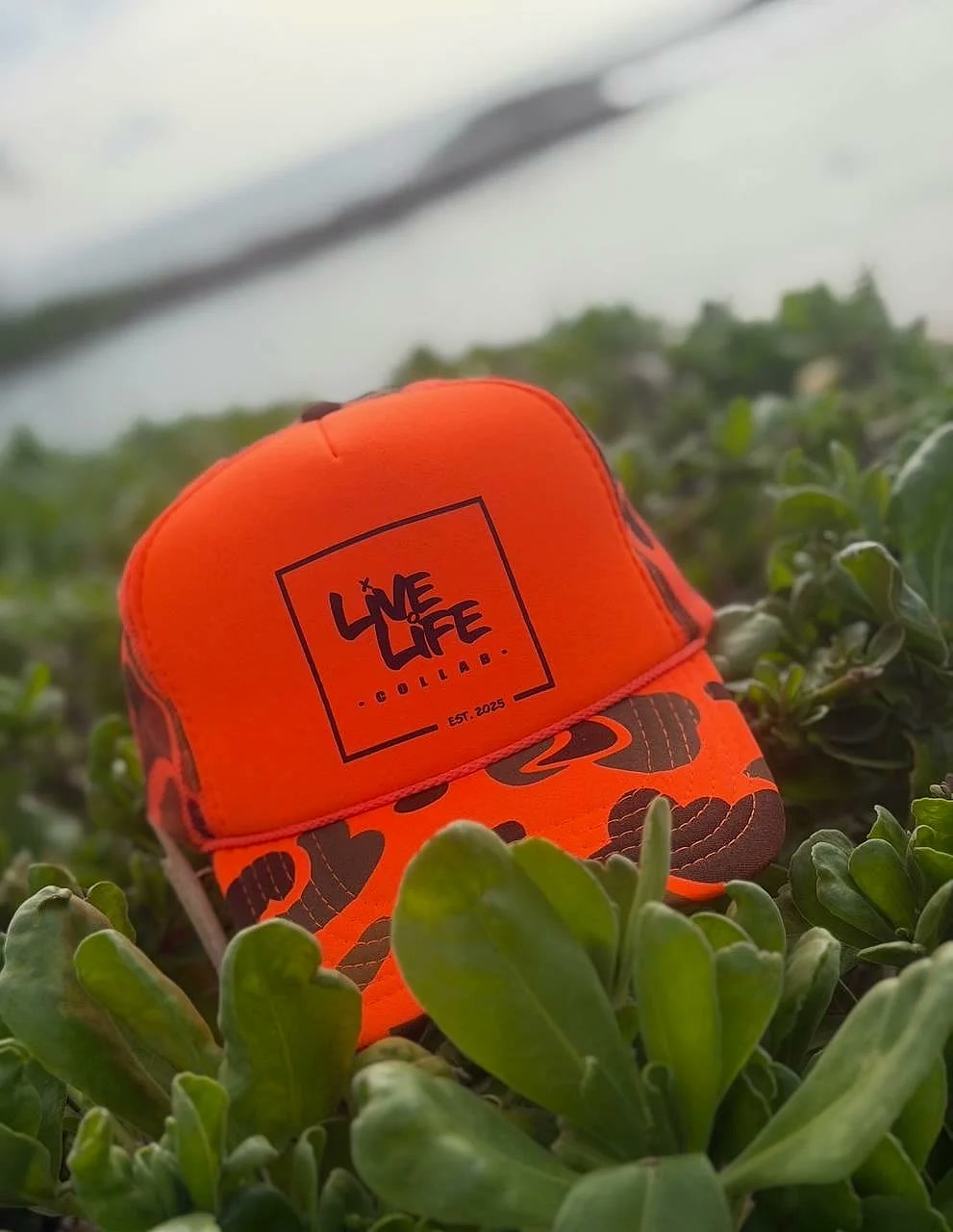 An orange Live Life Collab trucker hat sitting in the coastal brush
